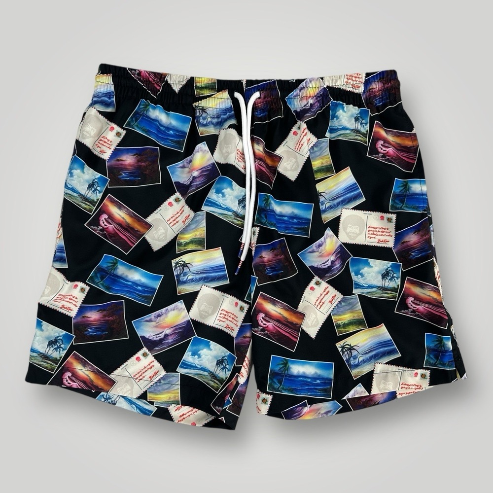 RSVLTS Bob Ross Postcards Swim Trunks Shorts Men's‎ Size MEDIUM Mesh Lined